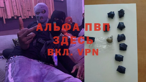 spice Гвардейск