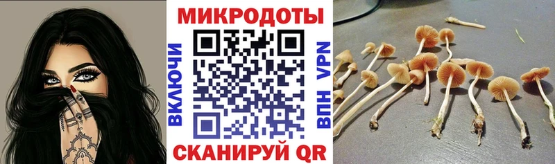 KRAKEN ТОР Нижнеудинск Галлюциногенные грибы мицелий